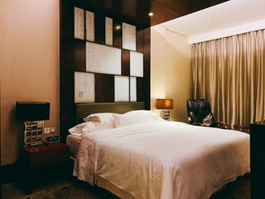 懶人來使館必住酒店 優(yōu)質(zhì)服務(wù)與驚喜套房體驗(yàn)
